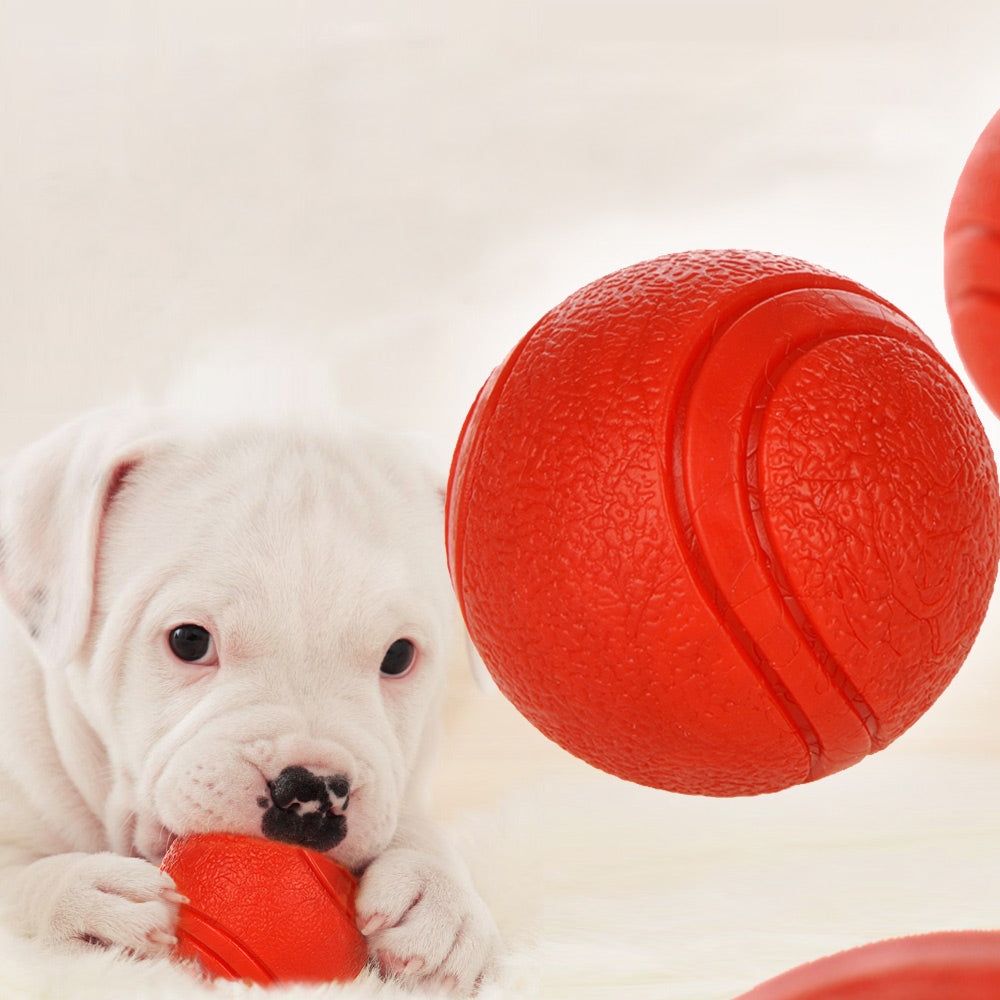 Solid Rubber Dog Ball Bite-Resistant Fetch Chew Toy for Dogs