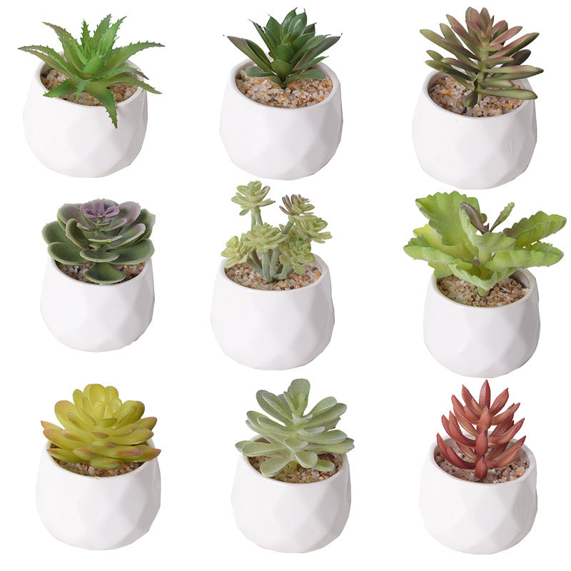 Artificial Succulent Picks - Faux Cactus & Aloe Stems for Decor