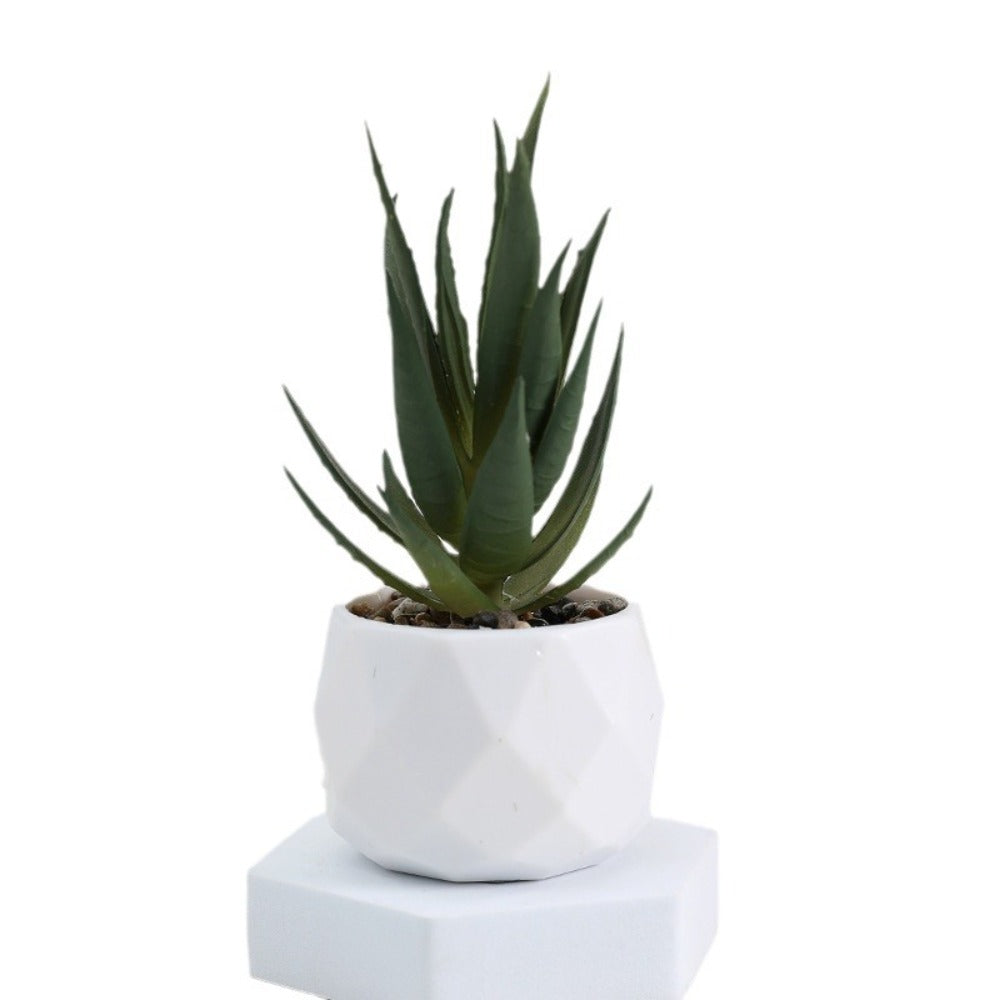 Artificial Mini Succulents - Faux Potted Plants in White Pots Set