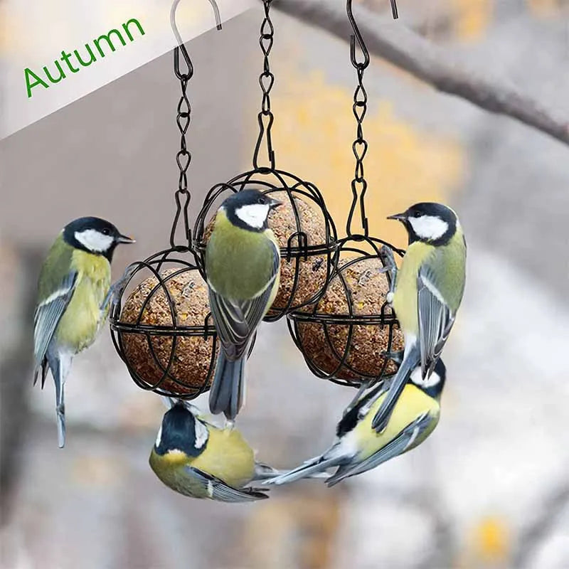 Metal Suet Ball Bird Feeder Hanging Fat Ball Cage for Wild Birds