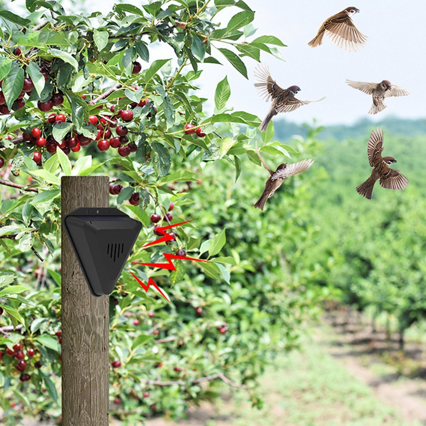 Solar Animal Repeller Outdoor Sonic Bird Deterrent Yard Garden