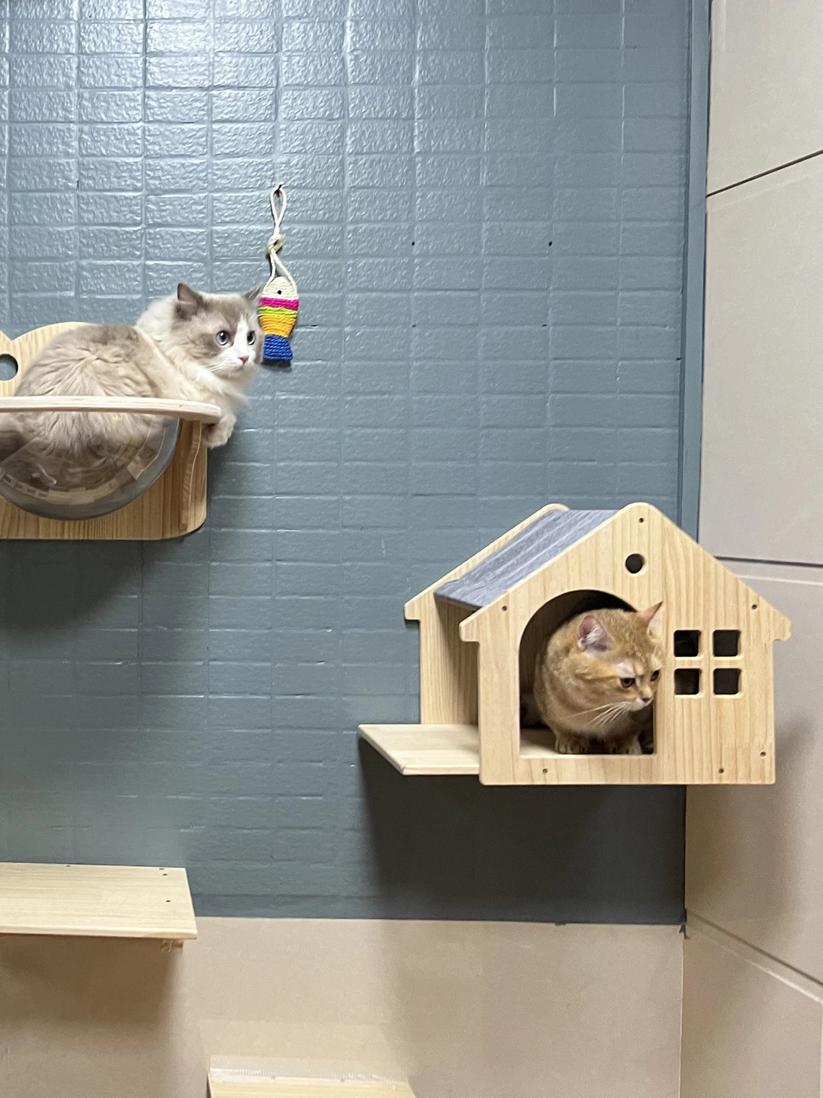 Wall-Mounted Cat Climbing Shelf Set with Cozy House Bed
