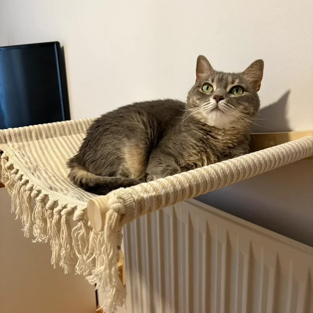 Wooden Cat Wall Shelves Curved Climbing Perches for Cats