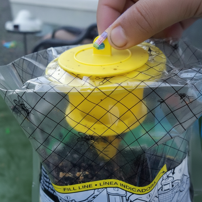 Disposable Hanging Fly Trap Bag — Outdoor Non-Toxic Fly Catcher for Yard, Patio & Garden