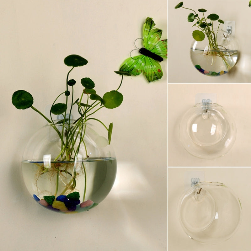 Glass Wall Hanging Planter, Hydroponic Terrarium Bubble Vase
