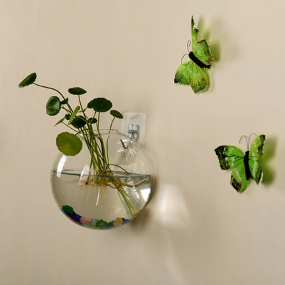 Glass Wall Hanging Planter, Hydroponic Terrarium Bubble Vase