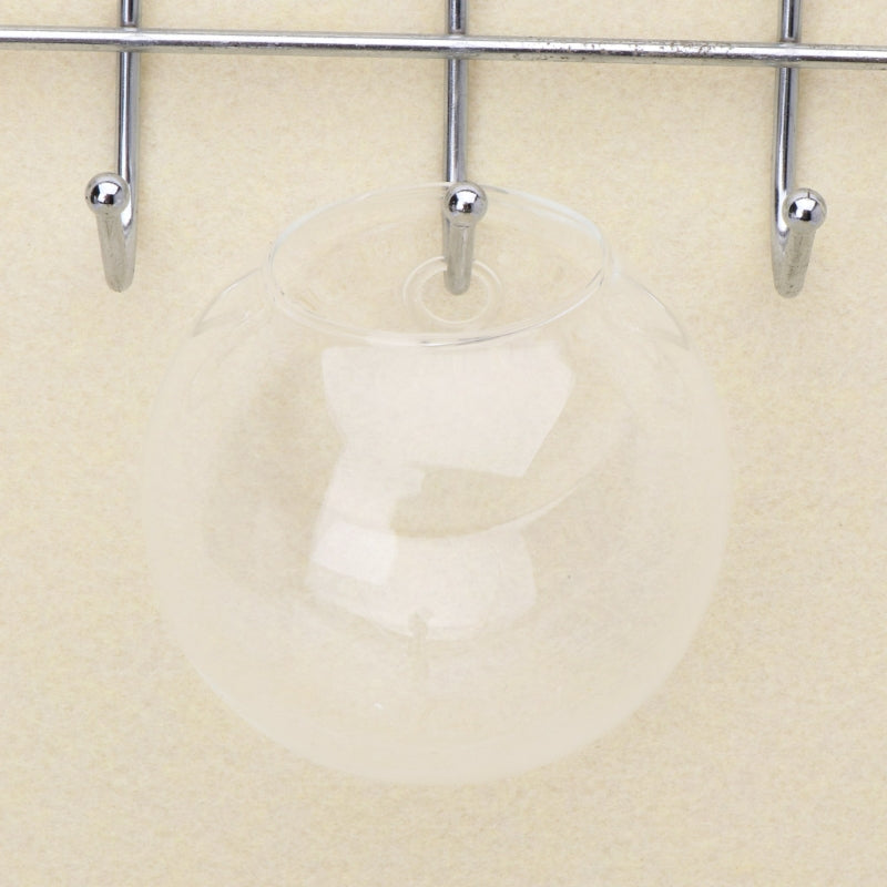 Glass Wall Hanging Planter, Hydroponic Terrarium Bubble Vase
