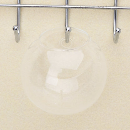 Glass Wall Hanging Planter, Hydroponic Terrarium Bubble Vase