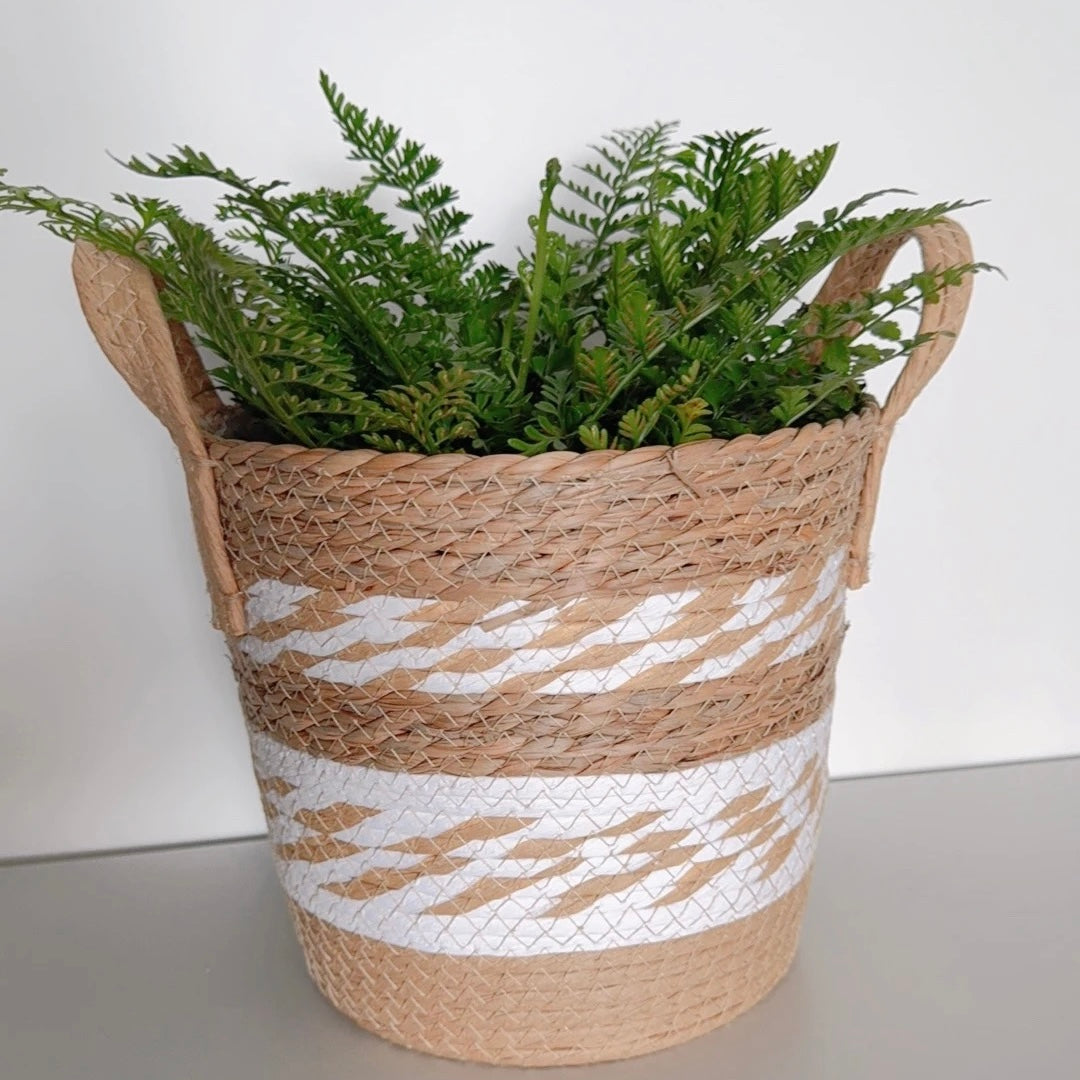 Woven Straw Planter Basket - Natural Plant Pot Cover with Handles