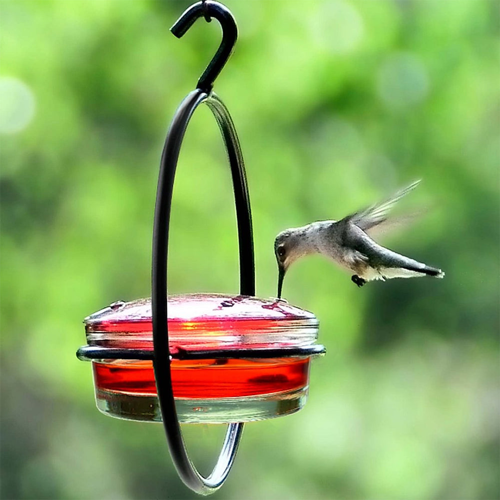 Hanging Hummingbird Feeder - Metal Ring Outdoor Nectar Drinker
