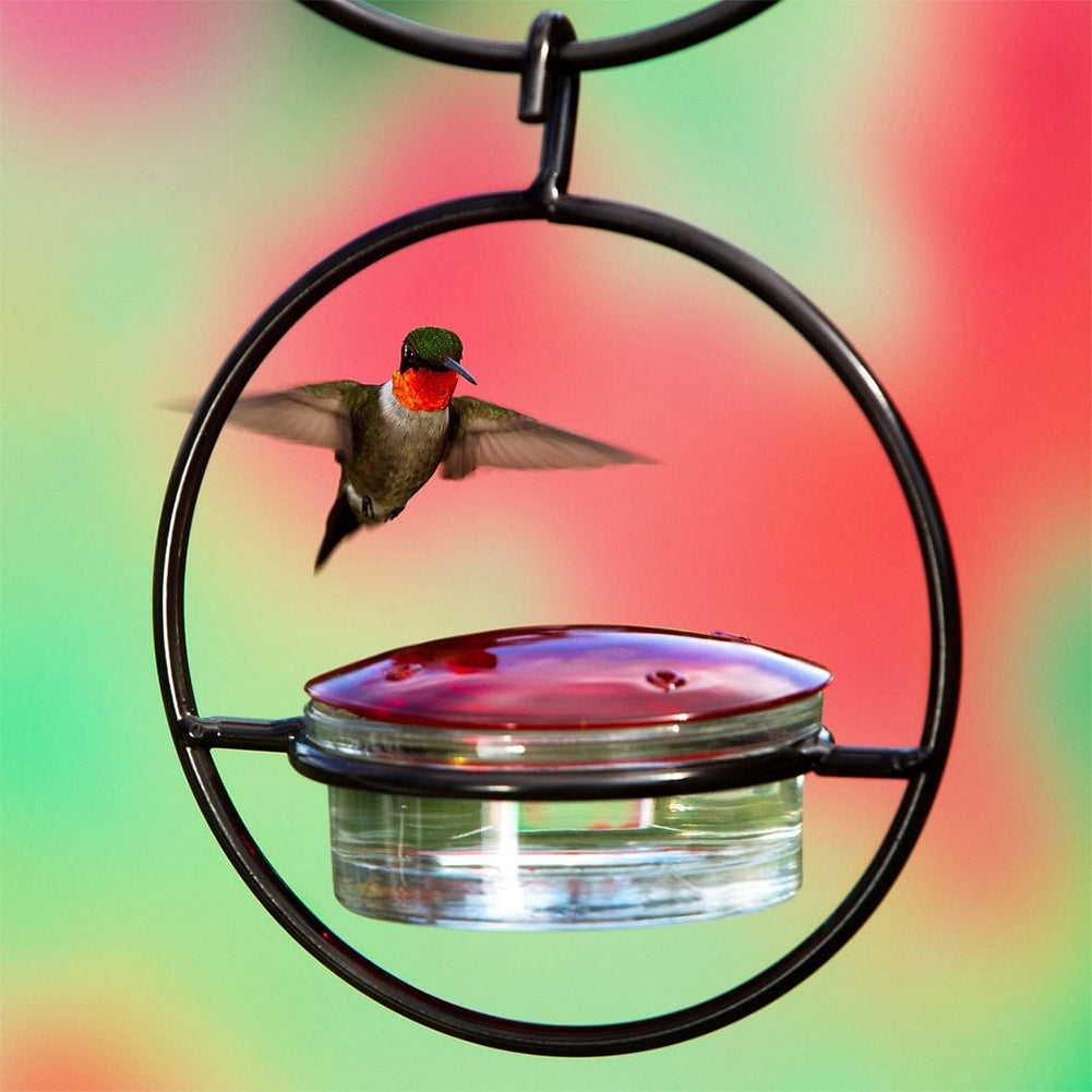 Hanging Hummingbird Feeder - Metal Ring Outdoor Nectar Drinker
