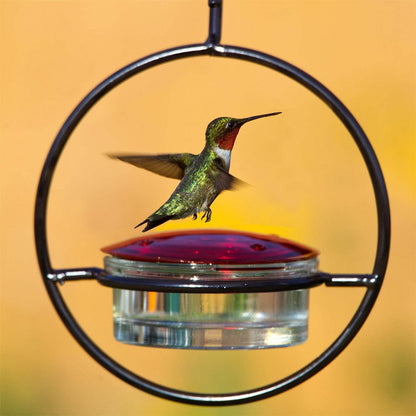 Hanging Hummingbird Feeder - Metal Ring Outdoor Nectar Drinker