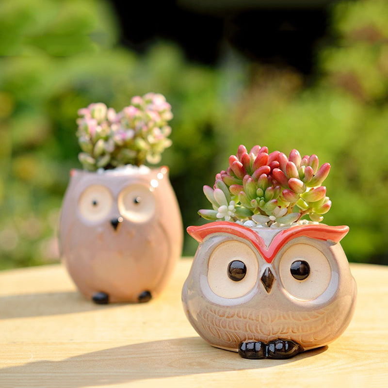 Cute Owl Ceramic Flower Pot - Mini Succulent Planter for Home Office