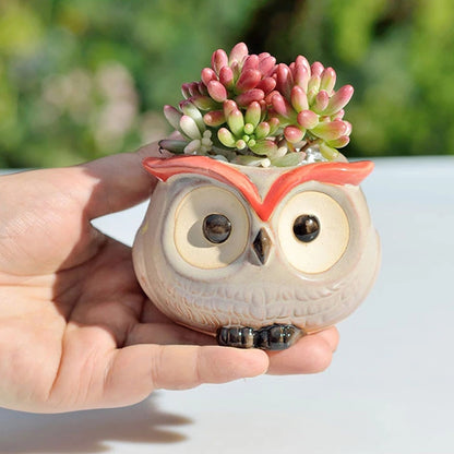 Cute Owl Ceramic Flower Pot - Mini Succulent Planter for Home Office