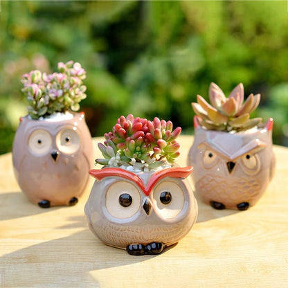 Cute Owl Ceramic Flower Pot - Mini Succulent Planter for Home Office