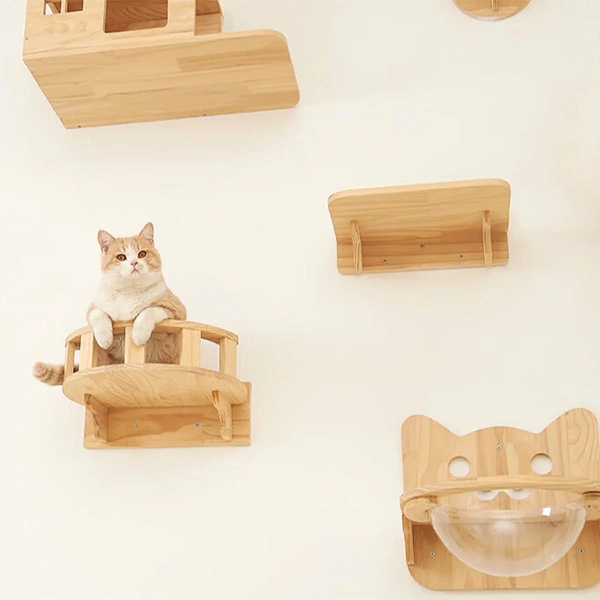 Wall-Mounted Wooden Cat Shelves Lookout Climbing Perch Set