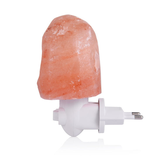 Himalayan Salt Plug-In Night Light Hand-Carved Crystal Lamp