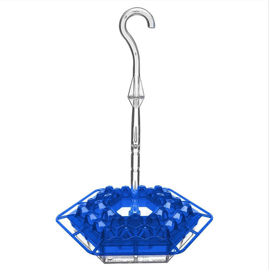 Hanging Hummingbird Feeder — 30cm Ant & Bee Resistant Wild Bird Feeder for Garden & Outdoor