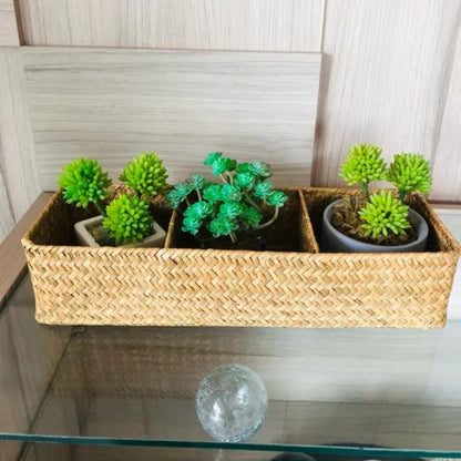 Woven Seagrass Divided Storage Basket, Desk & Shelf Organizer