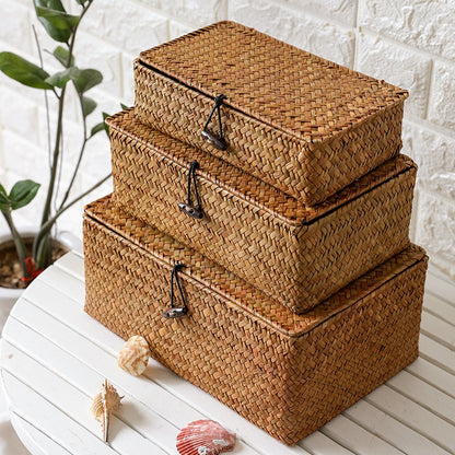 Handwoven Rattan-Look Storage Box with Lid, Natural Wicker Basket