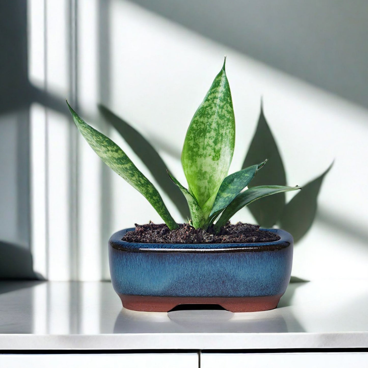 Ceramic Flower Pot with Drainage Hole - Vented Indoor Planter