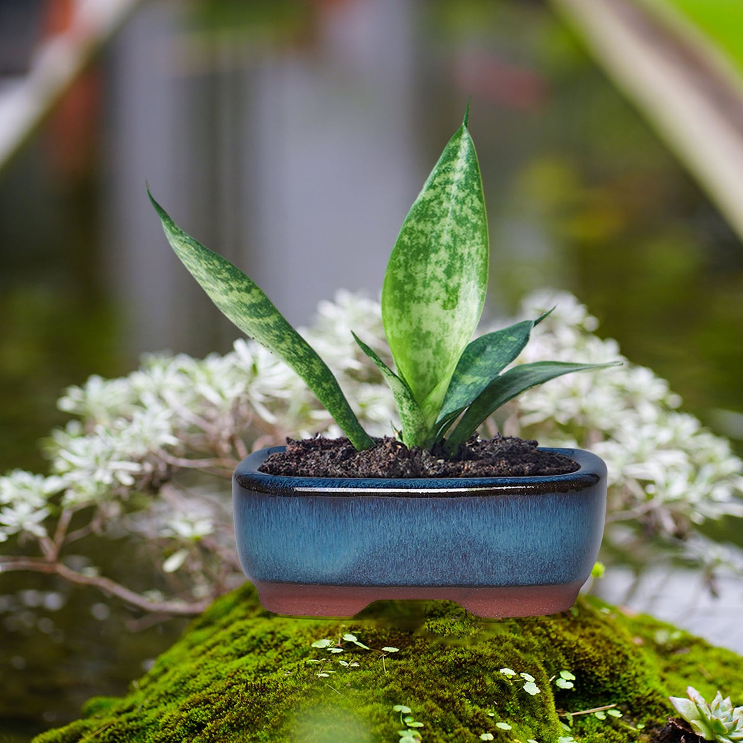 Ceramic Flower Pot with Drainage Hole - Vented Indoor Planter