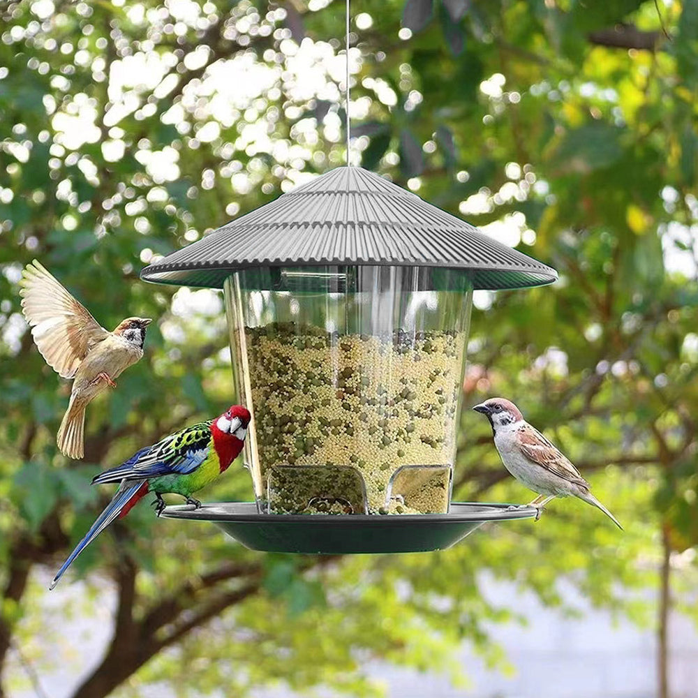 Hanging Bird Feeder, Easy-Fill Clear Outdoor Wild Bird Seed Feeder