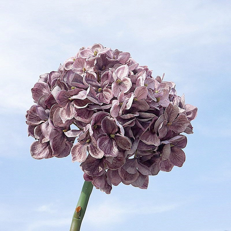 Artificial Hydrangea Stem — 48cm Vintage Faux Silk Flower