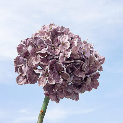 Artificial Hydrangea Stem — 48cm Vintage Faux Silk Flower