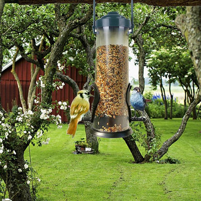 Hanging Bird Feeder, Clear Tube Wild Bird Seed Container with Perches