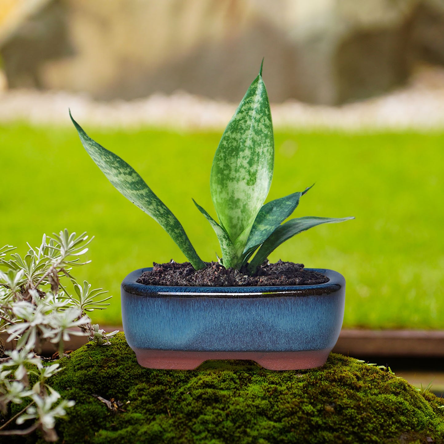 Blue Glazed Ceramic Planter Pot - Round Succulent Orchid Flower Pot