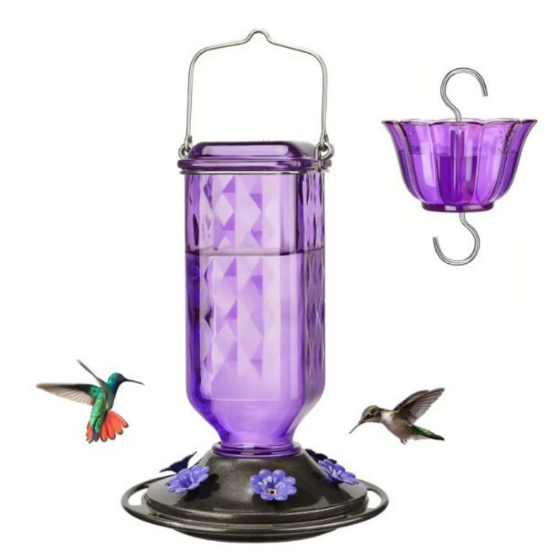 Glass Hummingbird Feeder with 4 Feeding Ports and Ant Moat