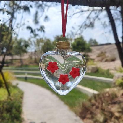 Hanging Hummingbird Feeder - Clear Heart & Globe Nectar Bird Feeder