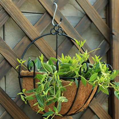 Wall-Mounted Coco Coir Hanging Basket, Scrollwork Metal Planter