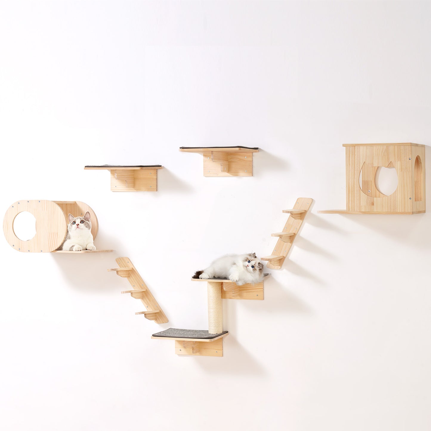 Wall-Mounted Cat Shelves and Perches With Cozy Hideaway