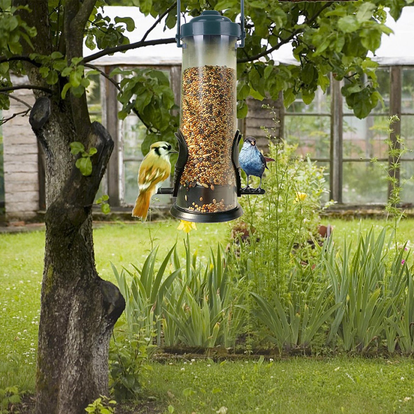 Hanging Outdoor Bird Feeder, Clear Tube Seed Feeding Container