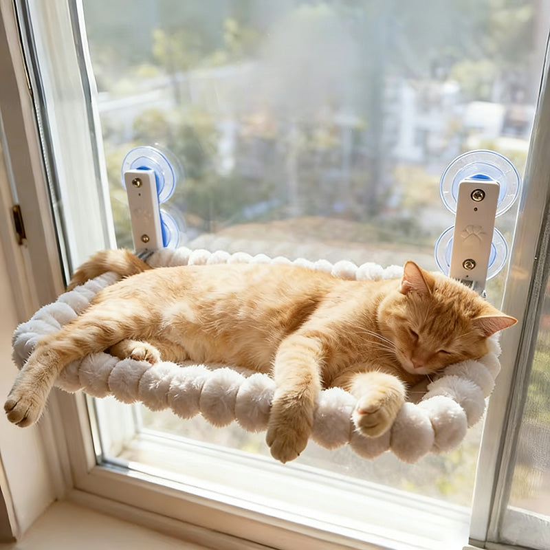 Cat Window Hammock, Suction Cup Perch for Indoor Cats