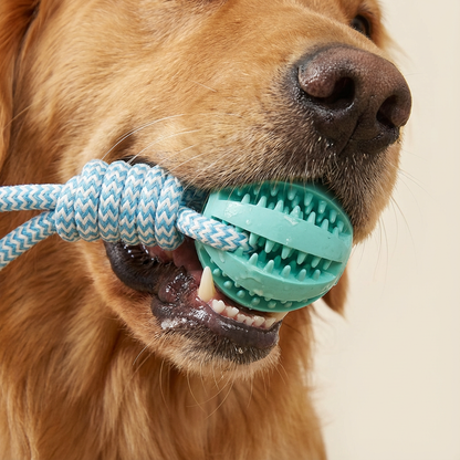 Dog Chew Ball with Cotton Rope, Treat-Dispensing Tug Toy for Dogs