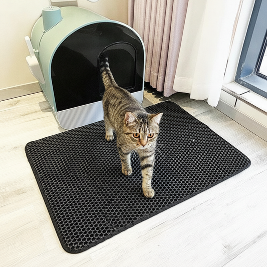 Cat stepping onto the black honeycomb litter trapping mat