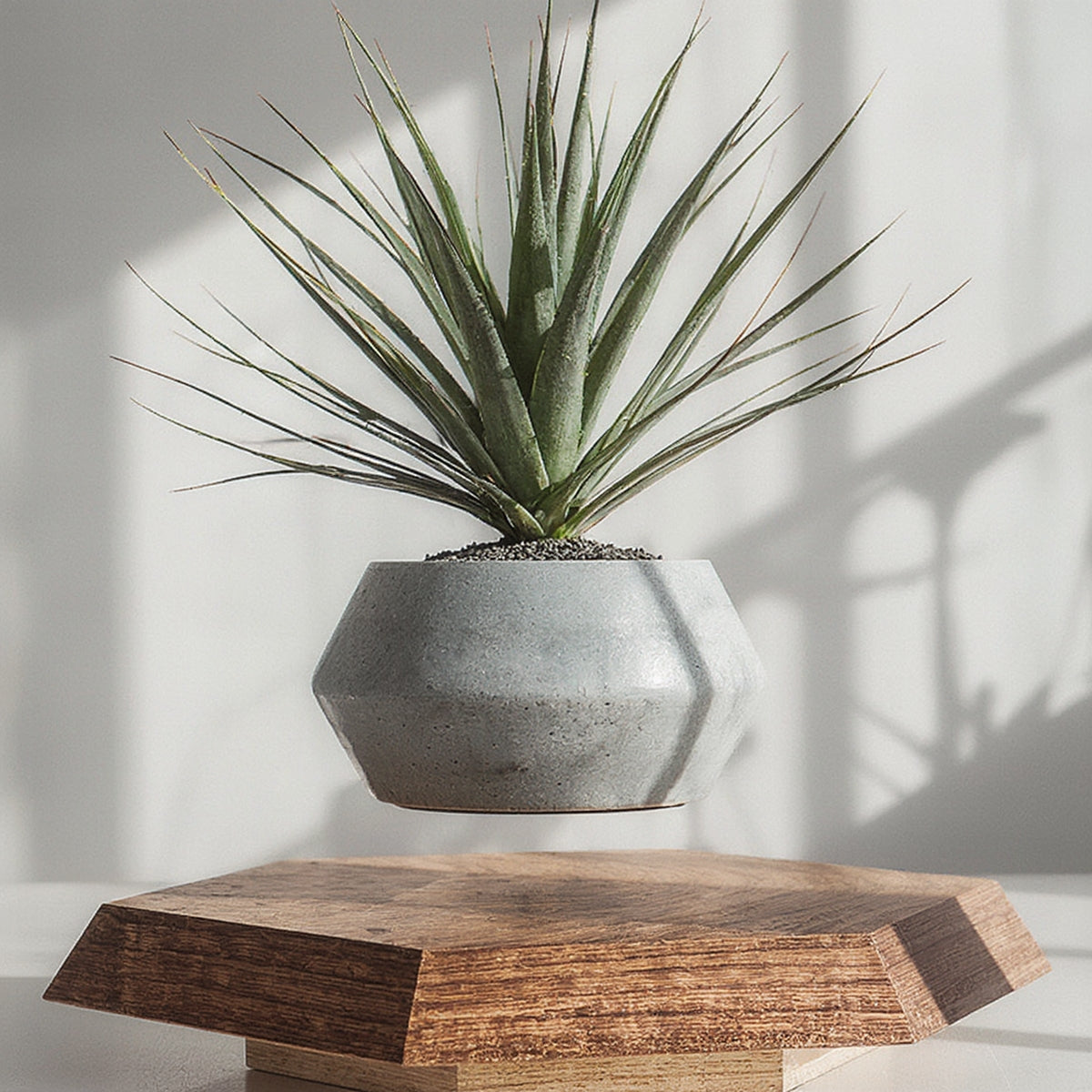 Levitating Plant Pot Magnetic Floating Air Bonsai Self- - Syvah