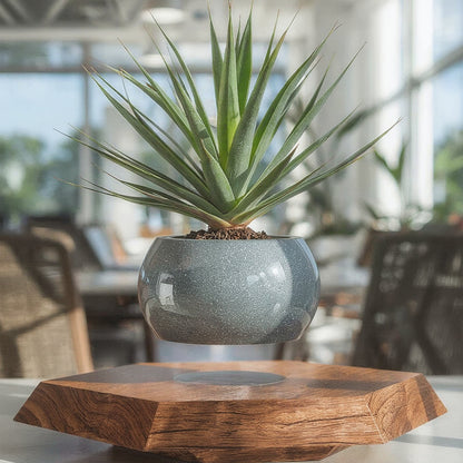 Levitating Plant Pot Magnetic Floating Air Bonsai Self- - Syvah