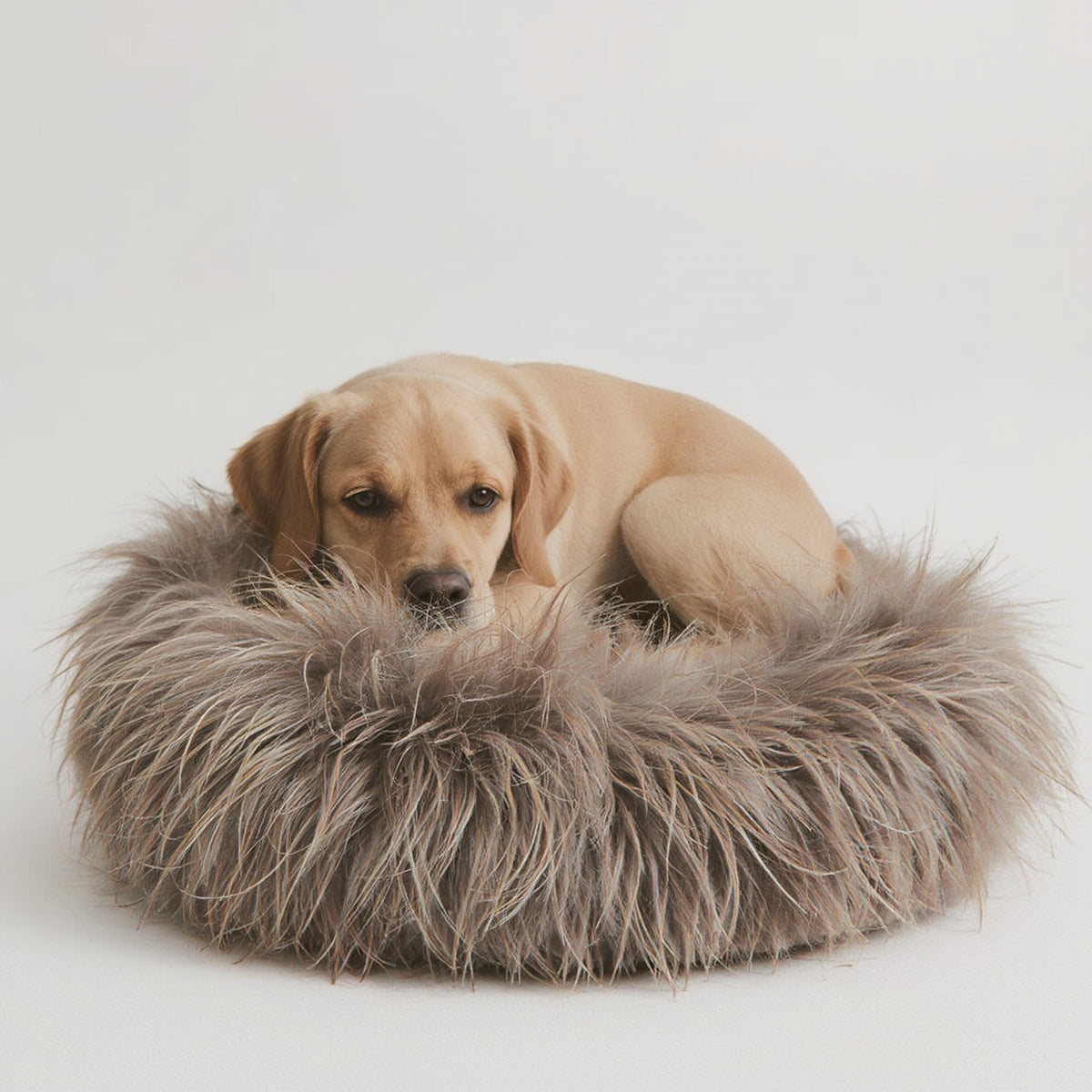 Pet Calming Donut Bed Memory Foam Anti-Anxiety Plush Fa - Syvah