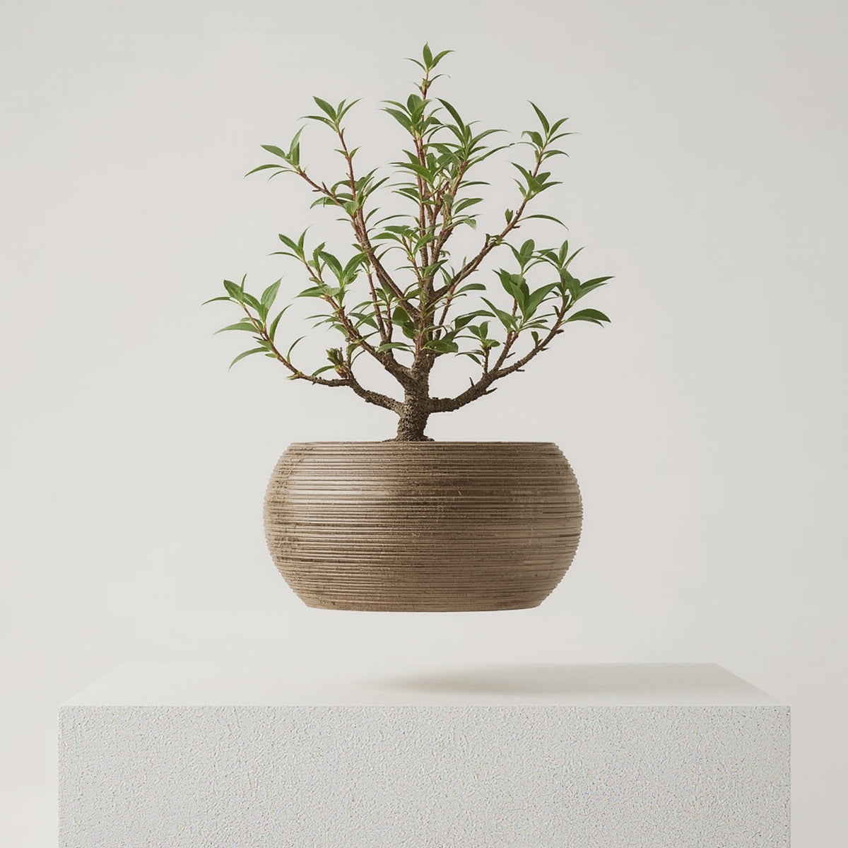 Levitating Plant Pot Magnetic Floating Air Bonsai Self- - Syvah