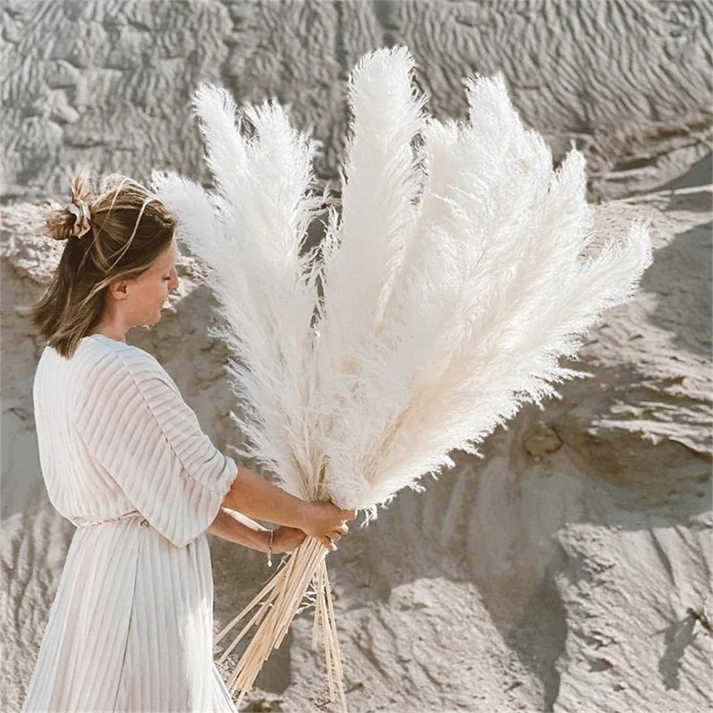 Natural dried pampas grass plumes, 110-120cm tall