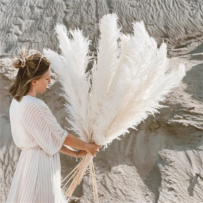 Natural dried pampas grass plumes, 110-120cm tall