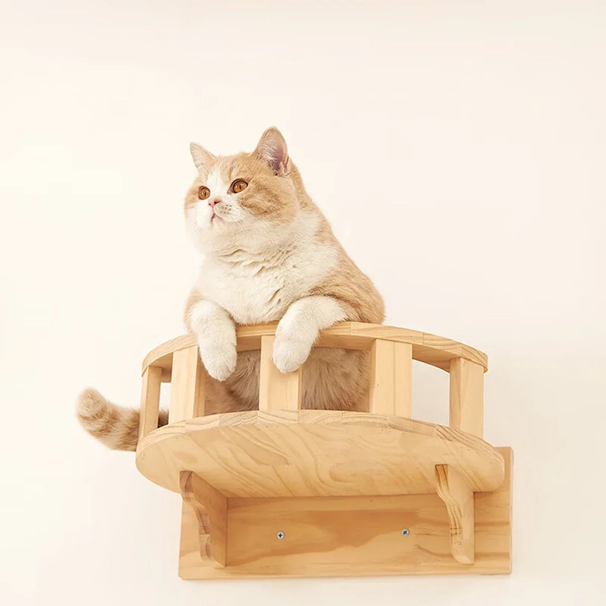 Wall-Mounted Wooden Cat Shelves Lookout Climbing Perch Set