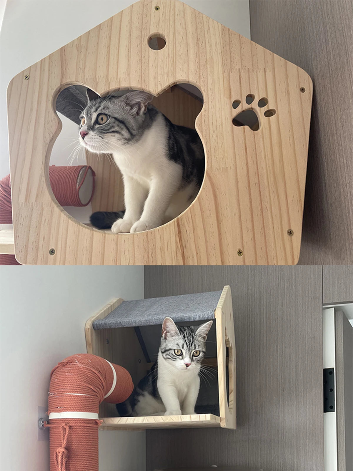 Wall-Mounted Cat Climbing Shelf Set with Cozy House Bed