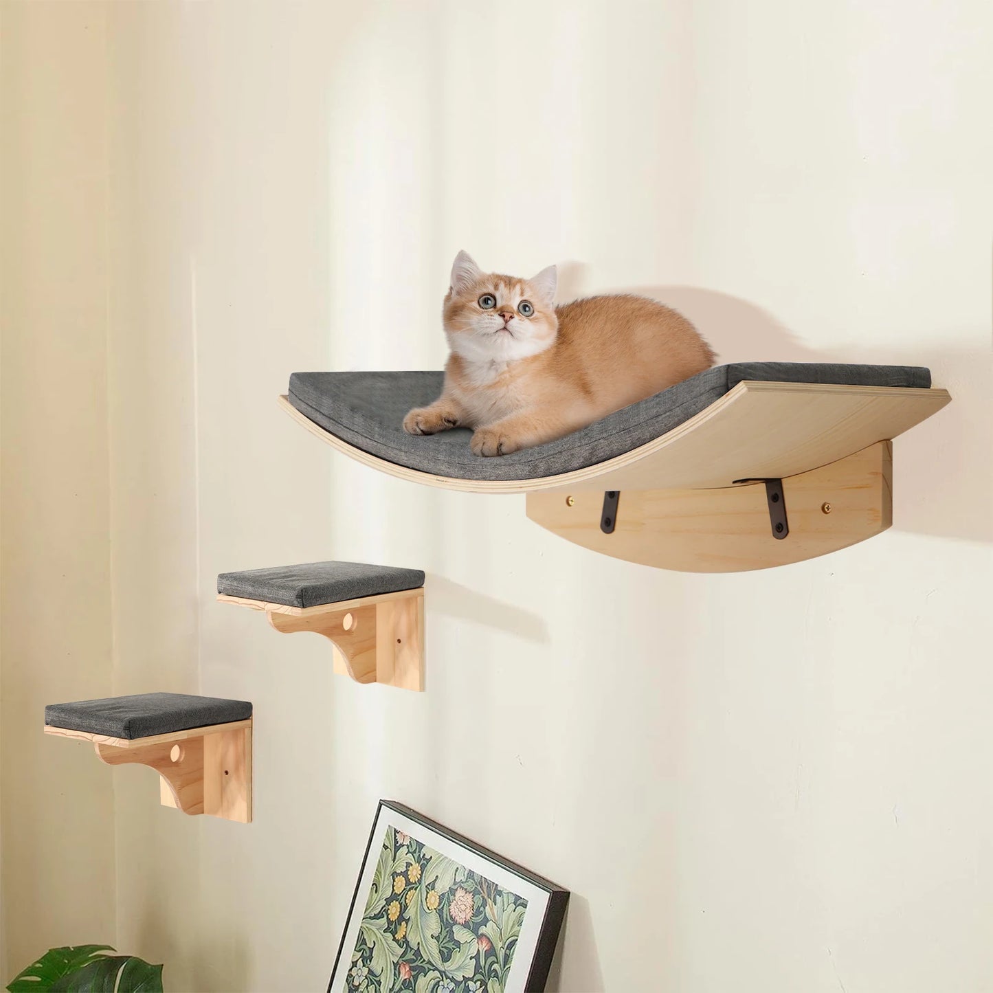 Wall-Mounted Cat Shelf Perch With Soft Cushion for Indoor Cats