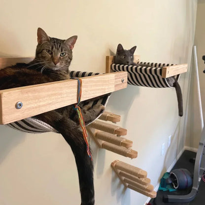 Wooden Cat Wall Shelves Curved Climbing Perches for Cats