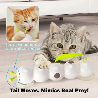 Smart caterpillar cat toy — motion-activated kitten teaser